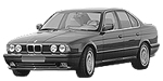 BMW E34 C1973 Fault Code